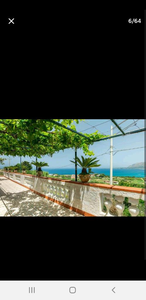 Villa Teresa photo 1