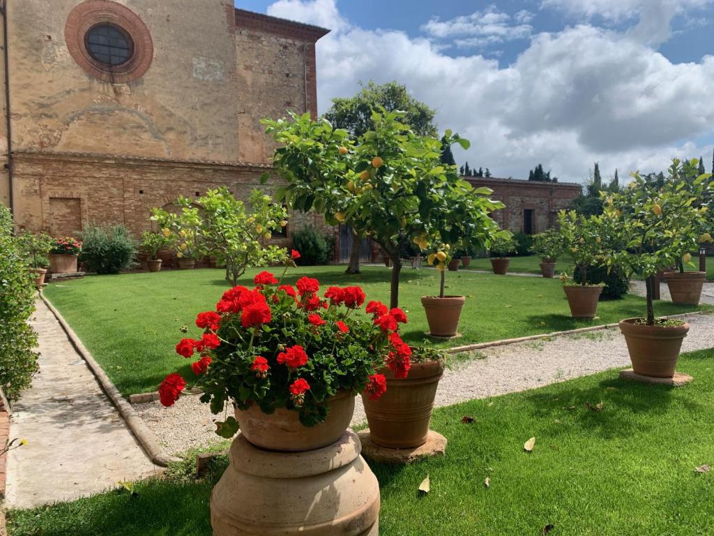 Fattoria Monastero Sant'Anna in Camprena photo 1