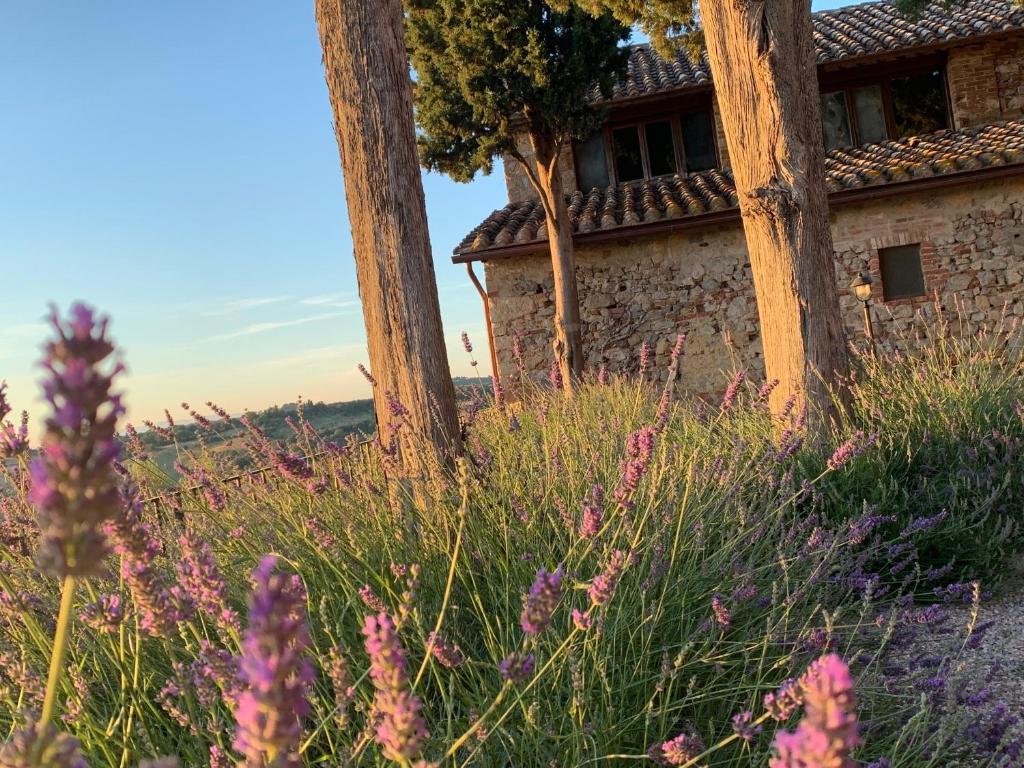 Fattoria Monastero Sant'Anna in Camprena photo 3