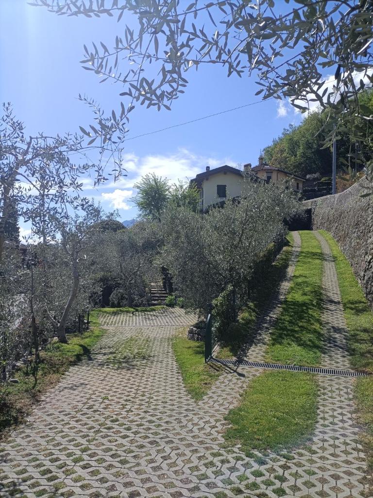 Casa delle Olive 1 photo 3