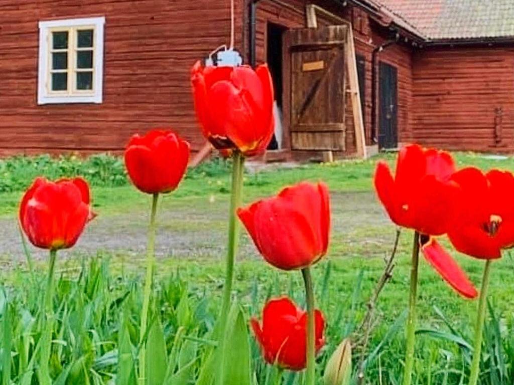 Holiday home Hedesunda II photo 2