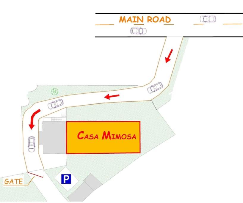 Casa Mimosa photo 4