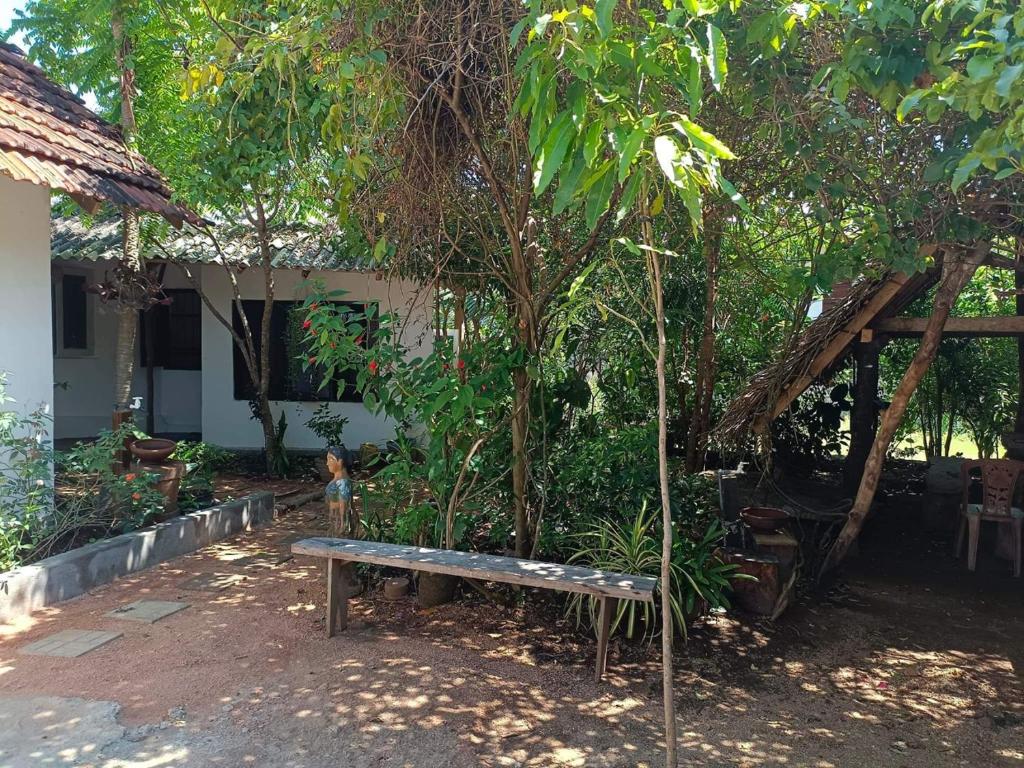 Mamisa Café, Home stay photo 4