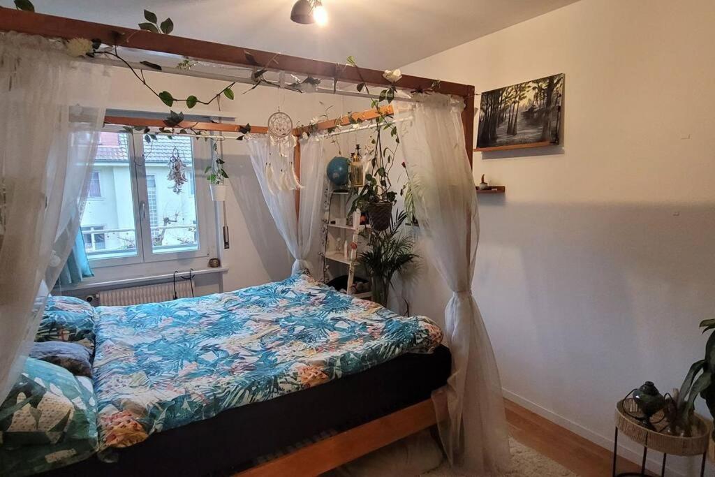3 Zimmer Wohnung, sehr zentral photo 2