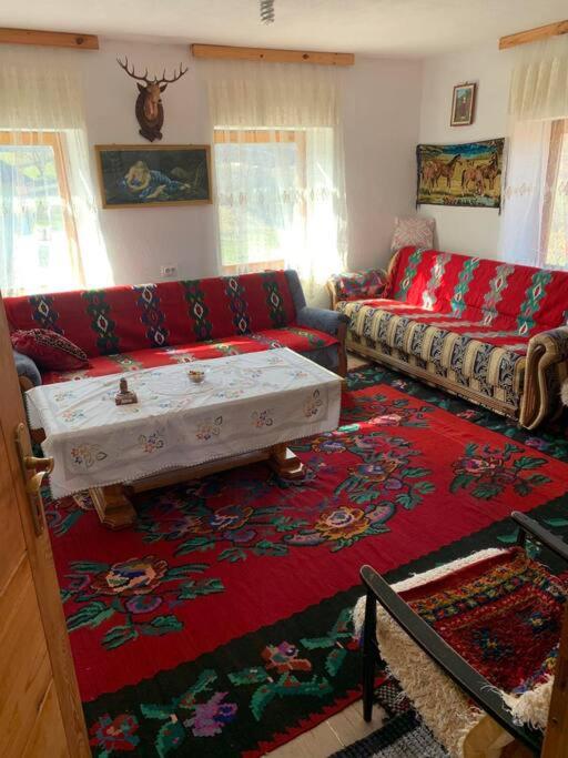 "Hamdina Kula"Household in Vrševo village photo 1