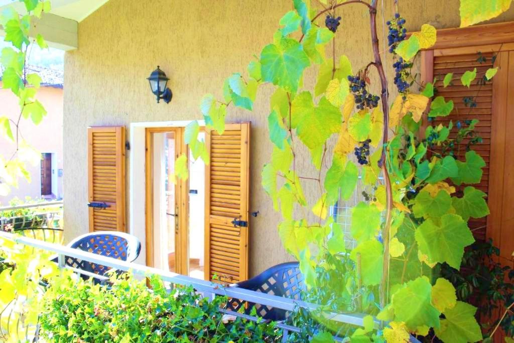 One bedroom appartement with furnished balcony at Prabione 8 km away from the beach