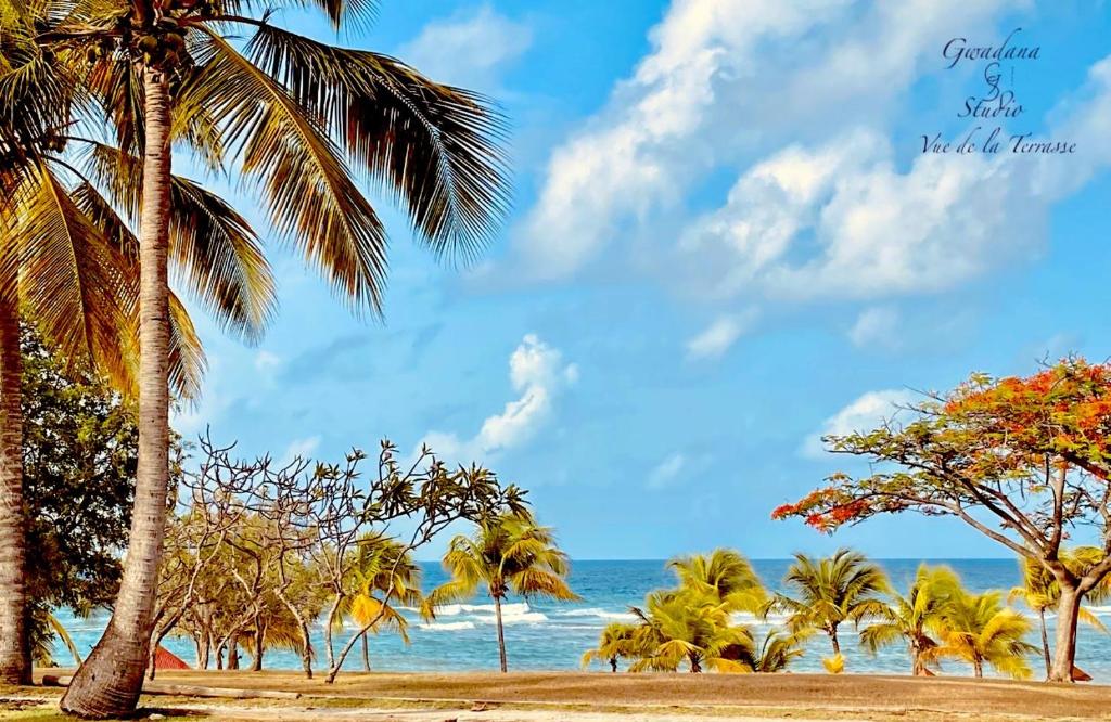 Accès Direct Plage, Magnifique Vue Mer, Les Gwada Studios, Village Vacances