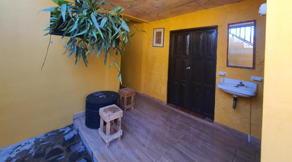 El Rincón de las orquideas photo 1