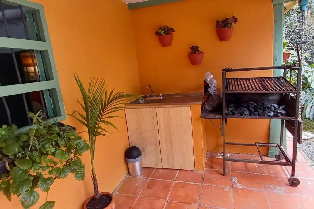 Casa del bosque de Cigarrales de Santa Teresa photo 4