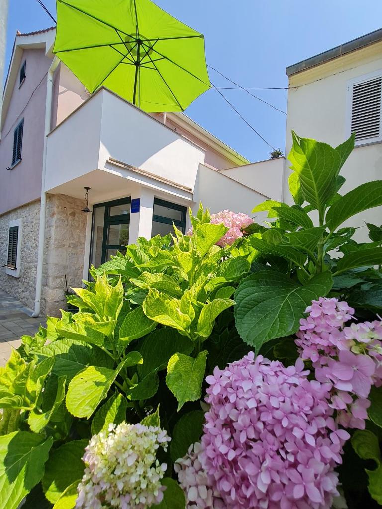 Apartmani Lucija Peroš Zaton II photo 4