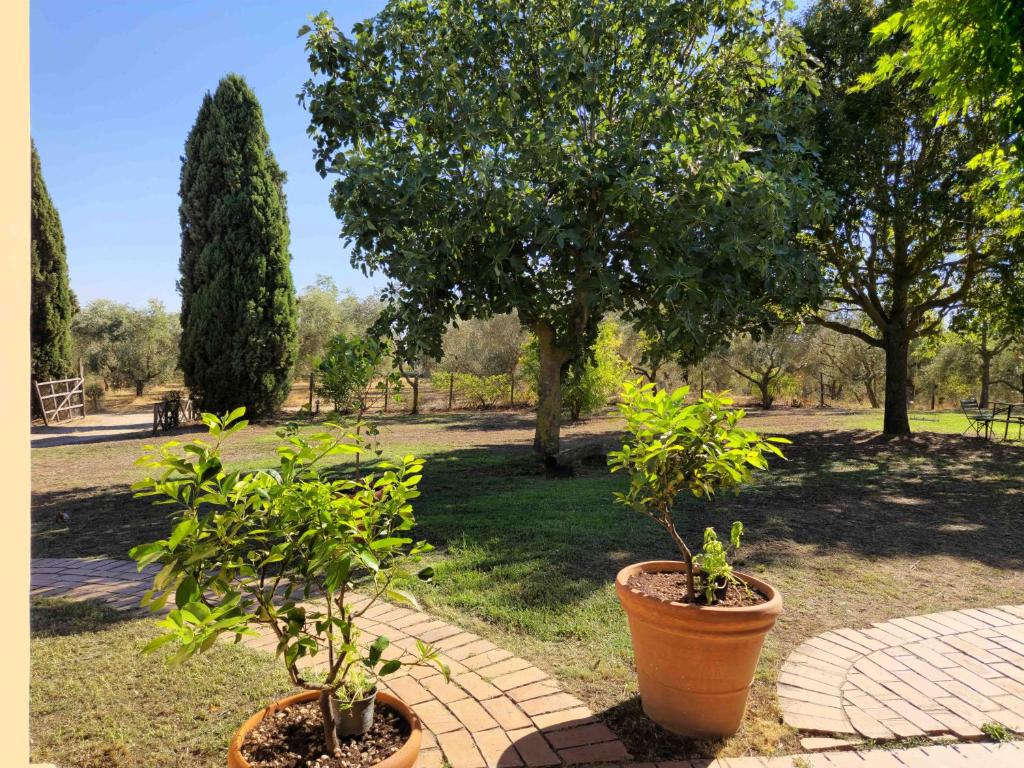 Casale Le Pietre photo 2