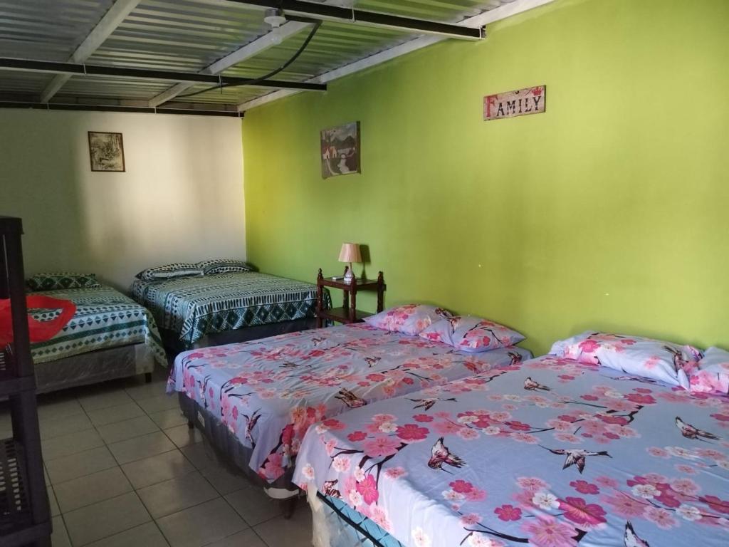 Villa Sofia photo 1