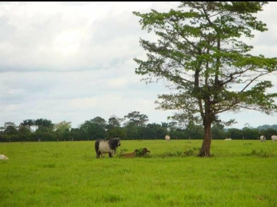 casa vacacional campestre photo 3