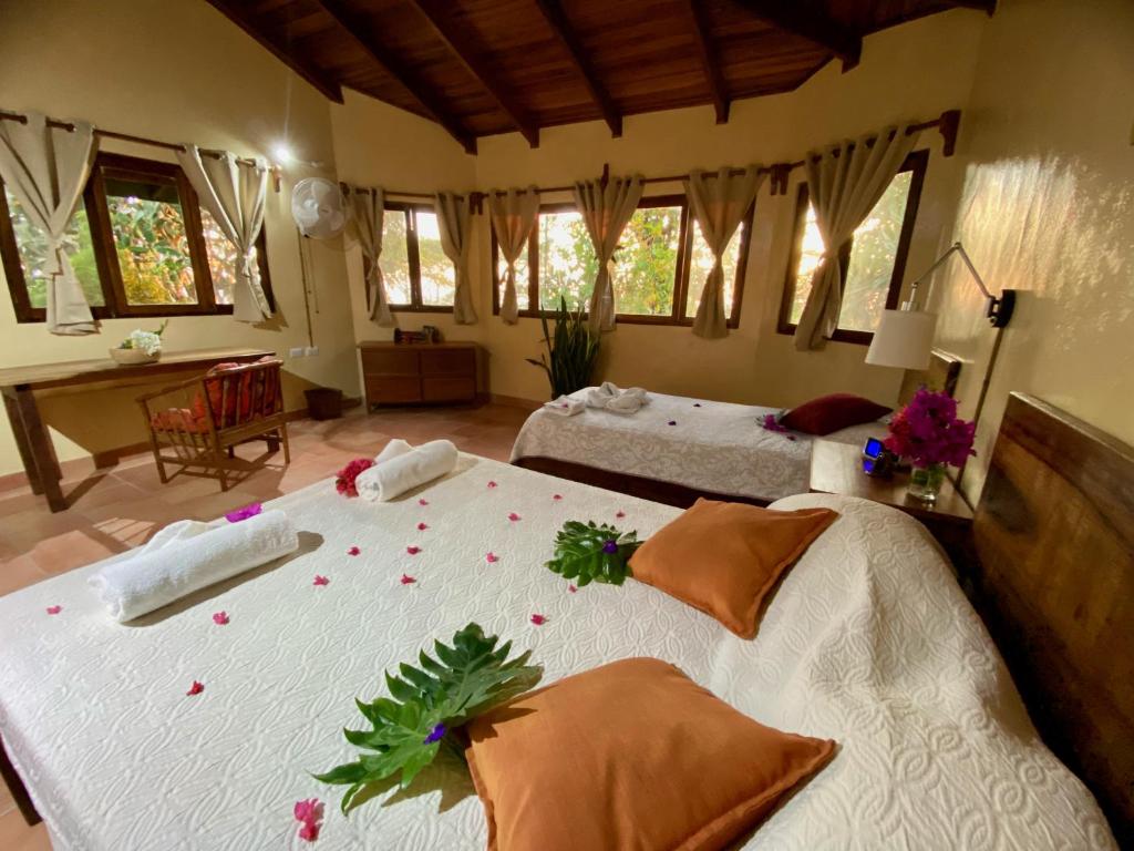 El Mirador Glamping & Apartments & Woodhouse & Swimingpool photo 3