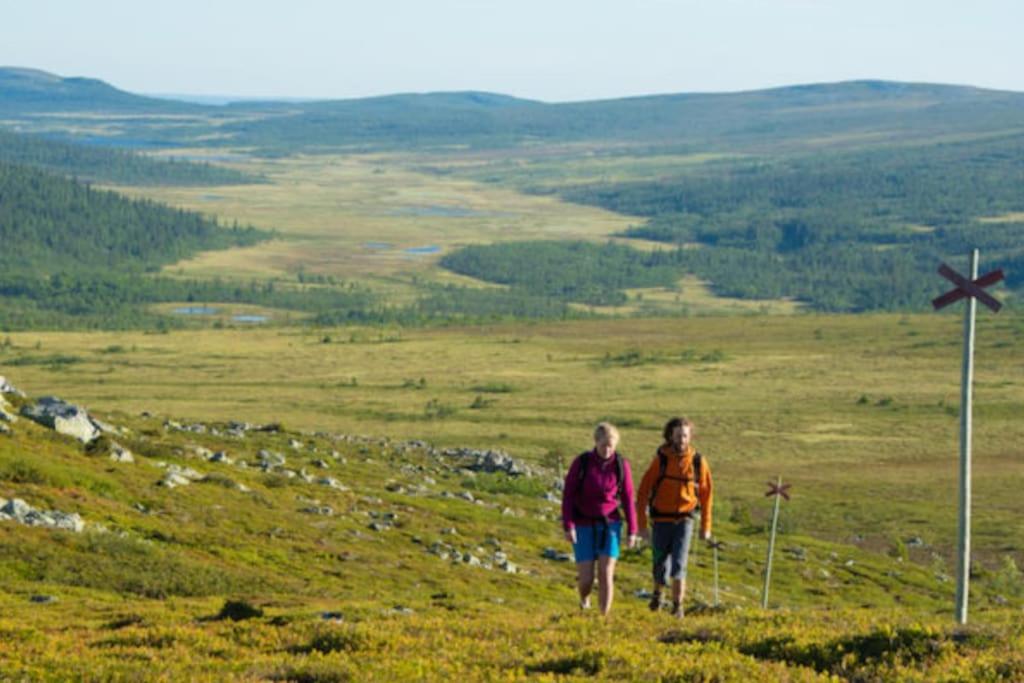Björnrike Vemdalen. Mitt i backen photo 4