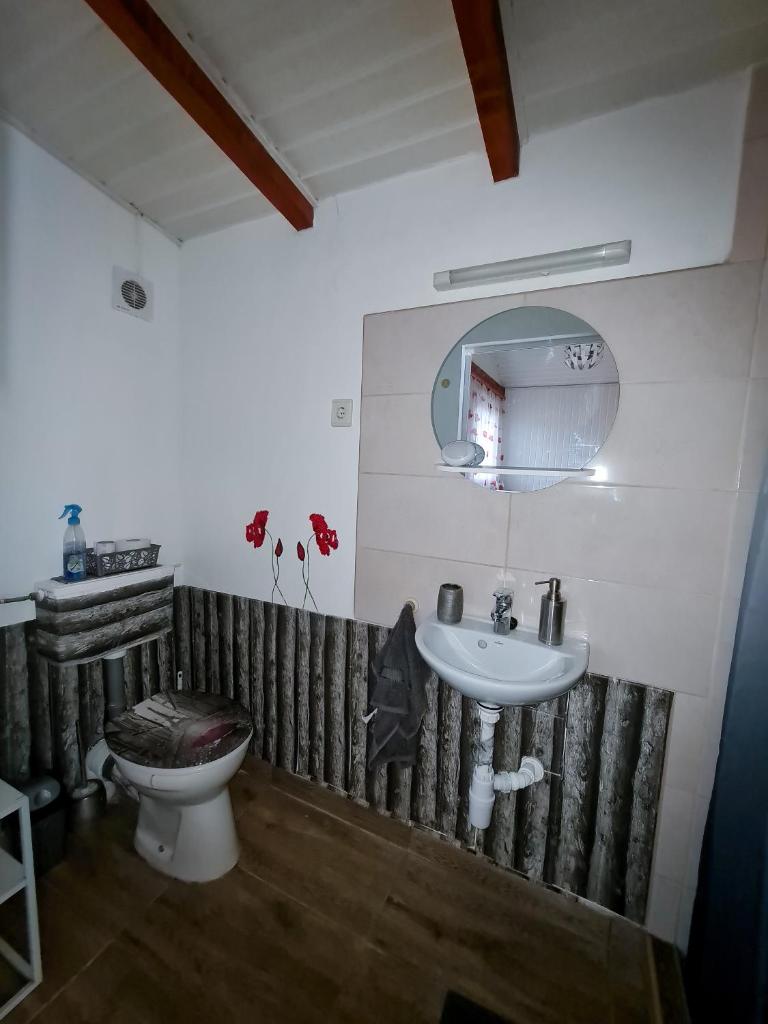 Tündérlak Nyaraló Békésszentandrás photo 4