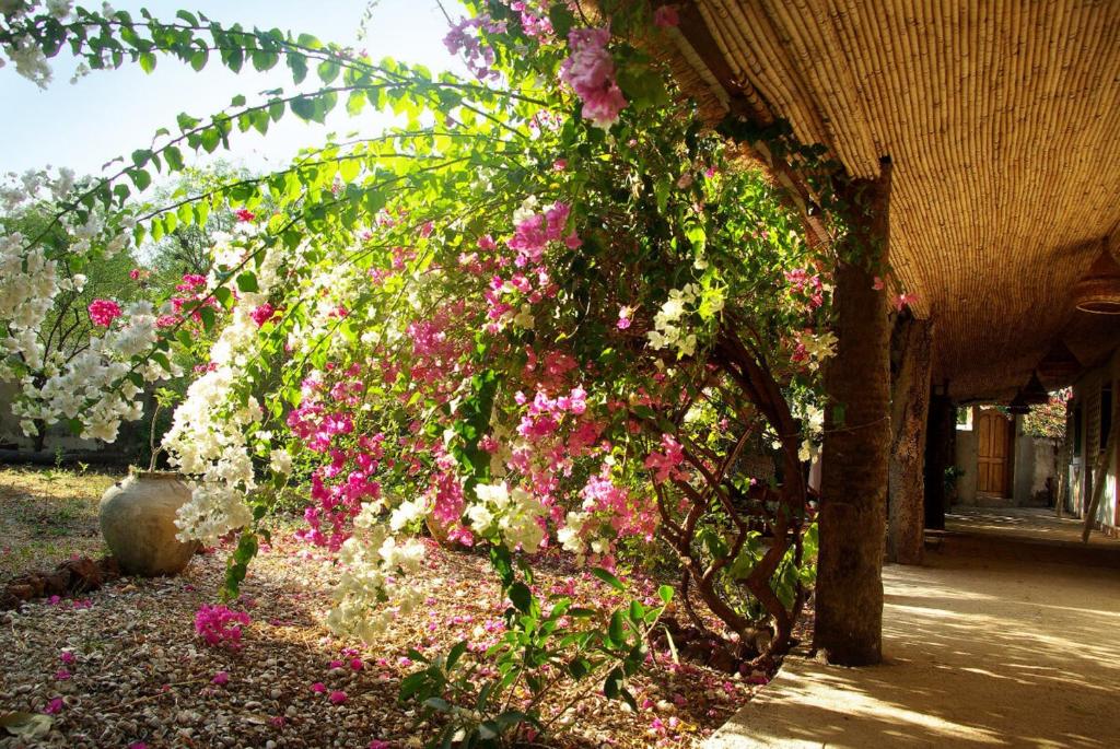 Bed and breakfast Keur Niaye photo 4