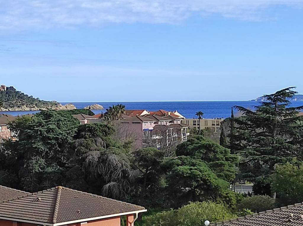 VUE MER- BEAU STUDIO - TERRASSE ABRITEE - Wi-Fi - CLIMATISATION - PARKING GRATUIT photo 1