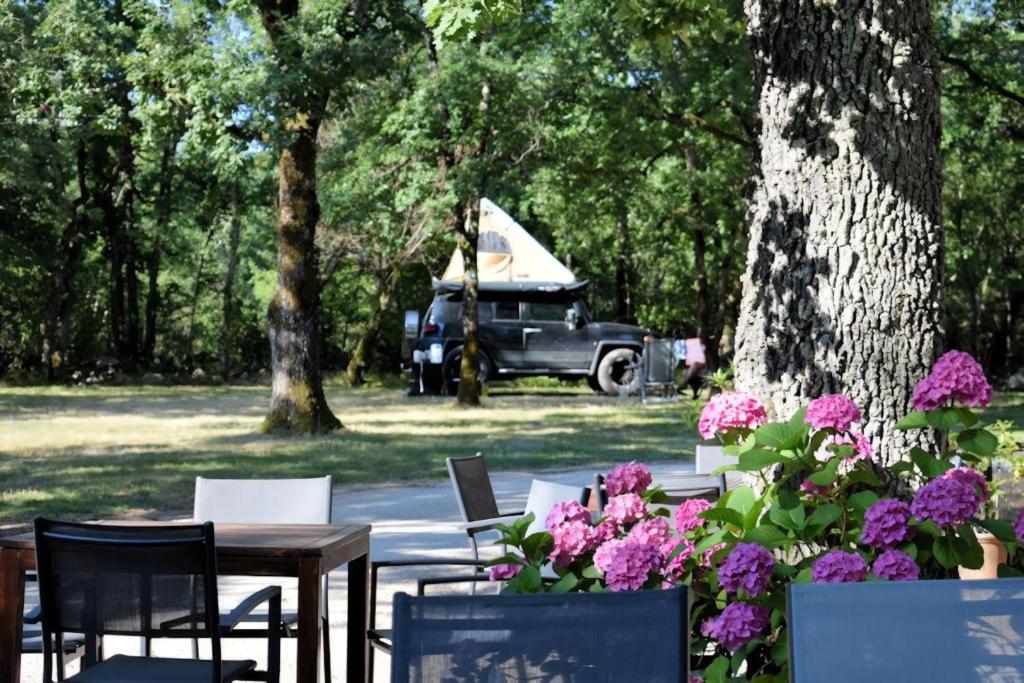 Lodges du Bois Dodo - ancien Camping de Bois Redon photo 4