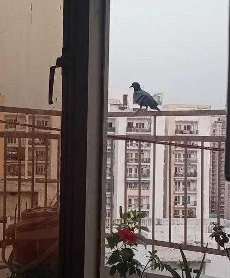 The INN Kanpur photo 3