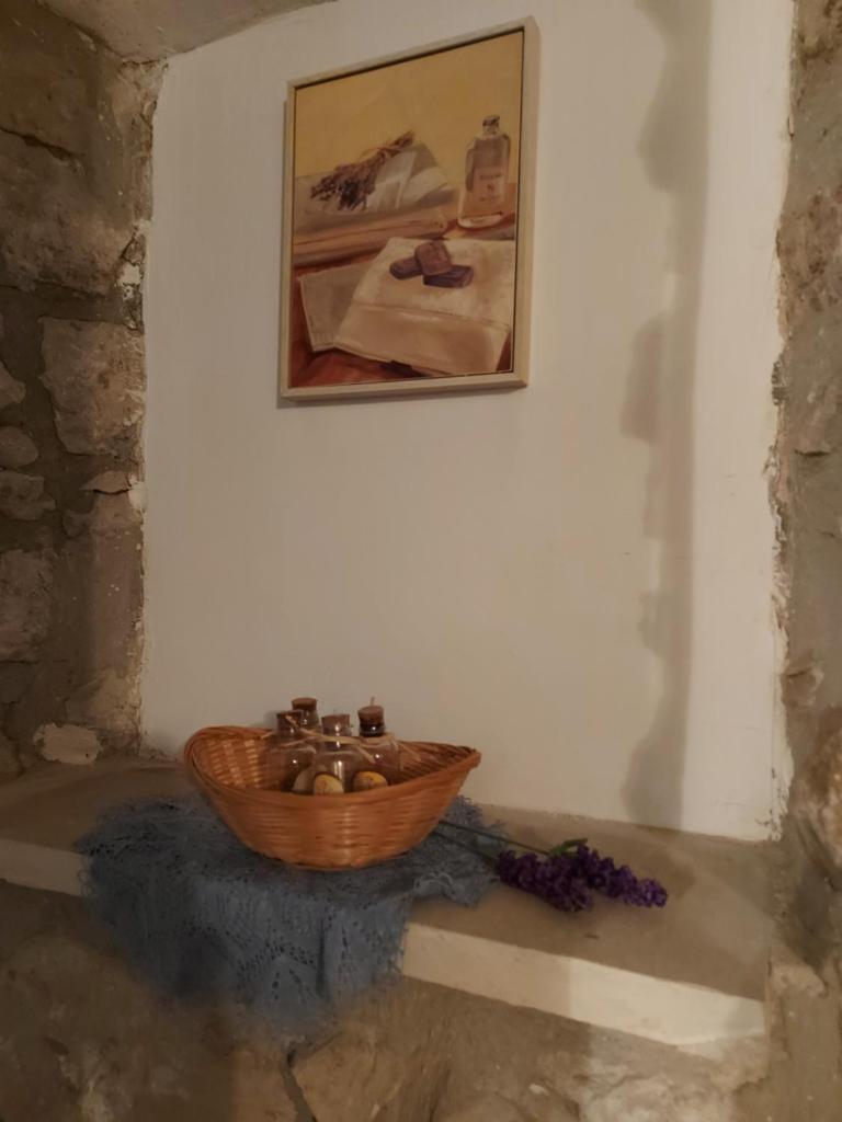 La Festa dels Sentits photo 4