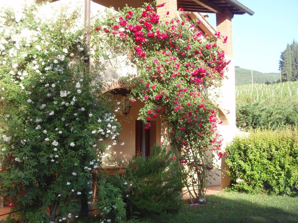 Villa Buonasera Agriturismo photo 1