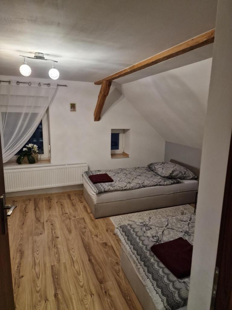 Asieńka 1 photo 1