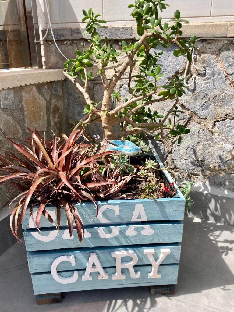 Casa Cary photo 1