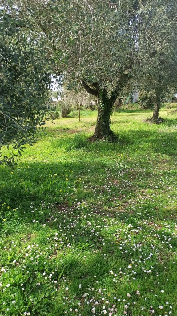 La nostra casetta photo 4