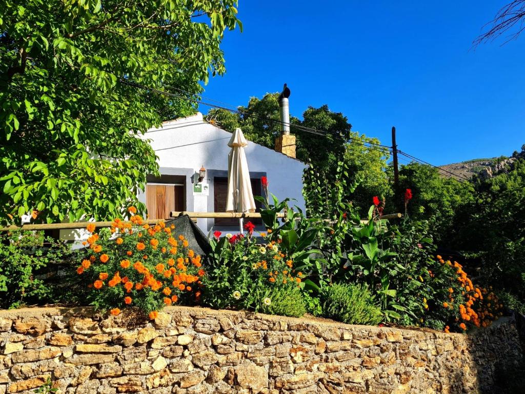 Casas Rurales Los Enebros Nerpio photo 4