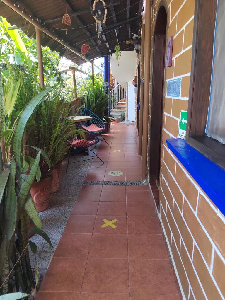 Temazcal Hospedaje "gema" adults only photo 3