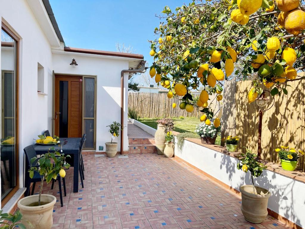 Profumo di Limoni Vacation Rental photo 2