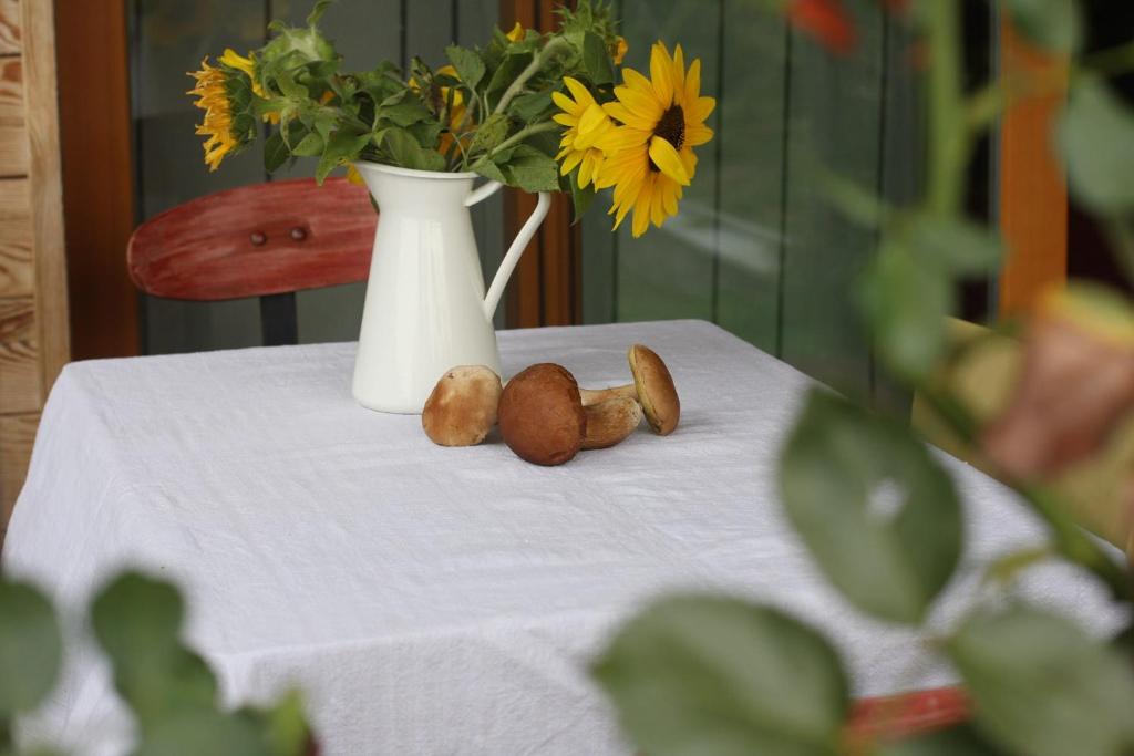 Holiday Home Trnavsko photo 3