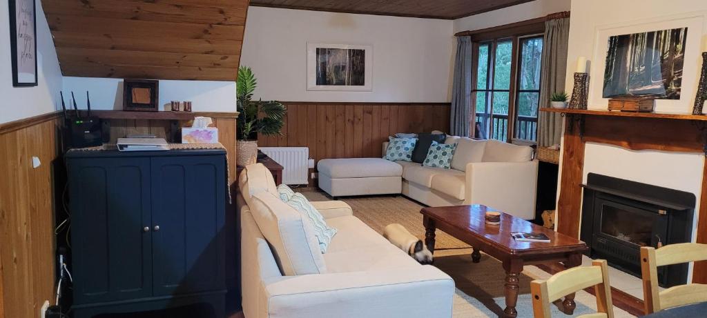 Tall Trees Eco Retreat - Fern Cottage photo 4