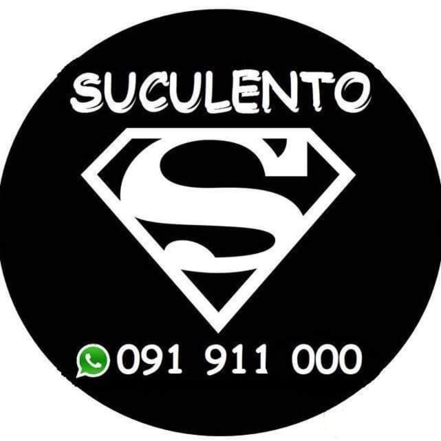 Suculento Apart photo 1