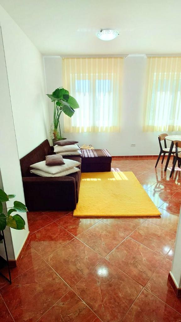 Apartments Lola photo 3