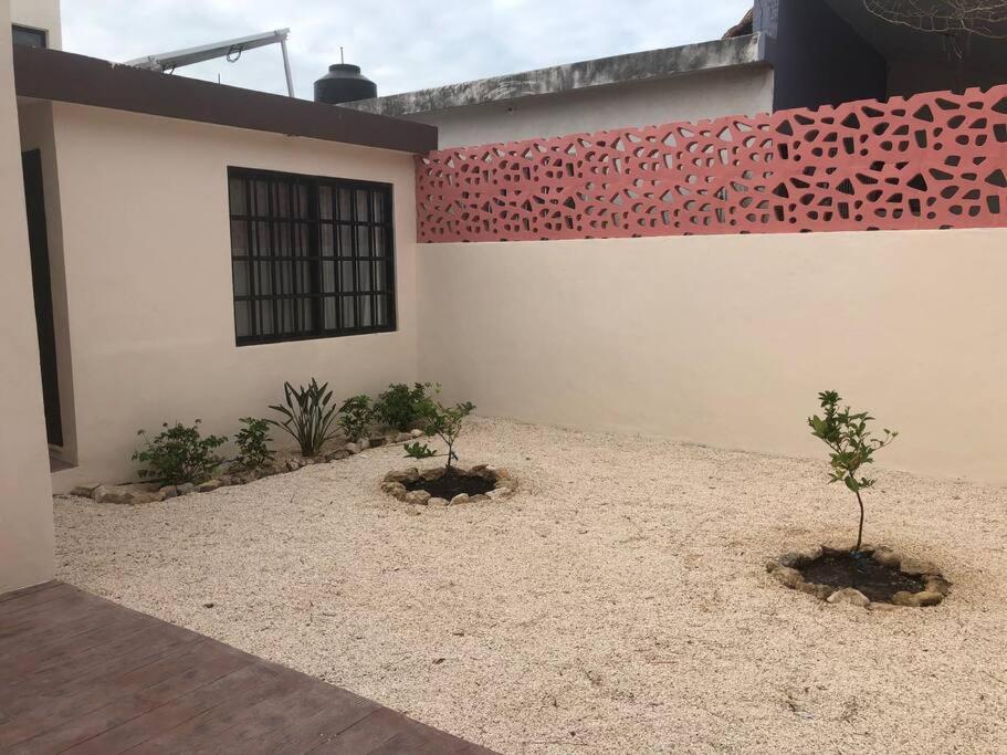Casa Coral in Progreso photo 4