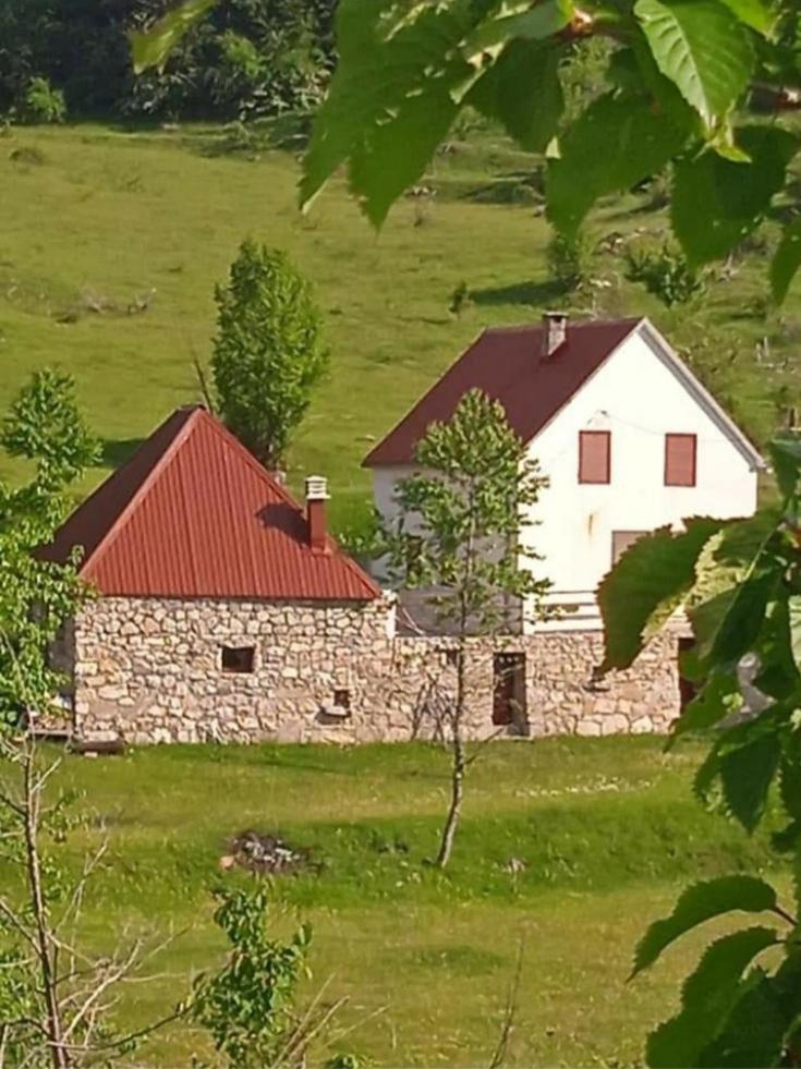 Cerov do photo 4