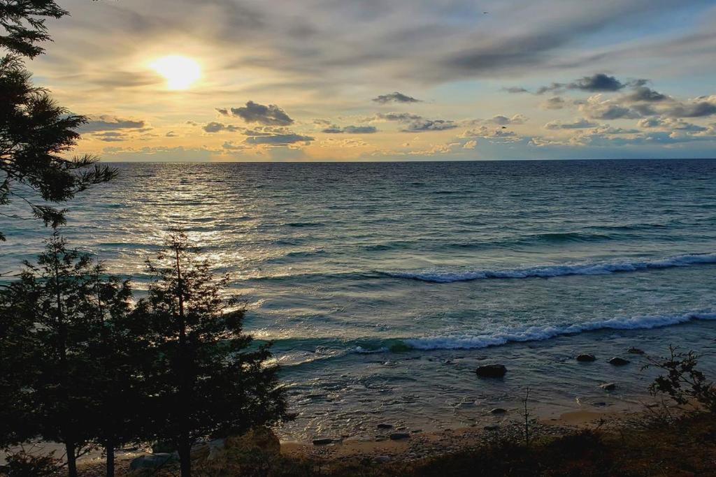 Tree Fort - Honeymoon Cottage on Lake Michigan photo 3