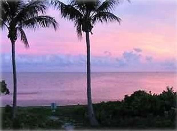 Mar Y Sol Ocean Front photo 1