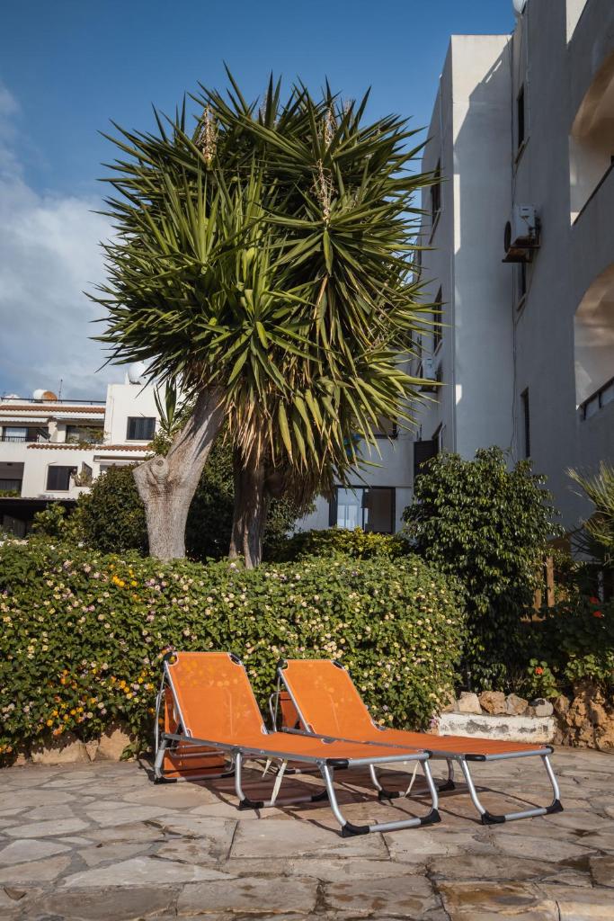 Alexis Apartments - Modern 2-bedroom with swimming pool photo 1