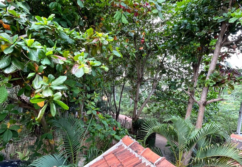 New Roy Guest House photo 4