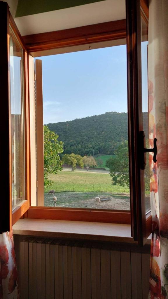 La Cascina delle Viole photo 1