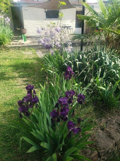 Studio Buena Vista avec terrasse sur jardin photo 2