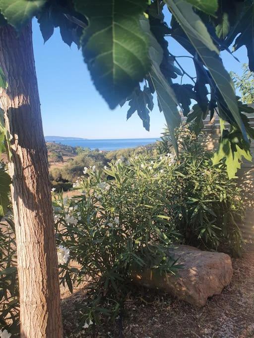 Studio mitoyen à la campagne vue sur la mer photo 3