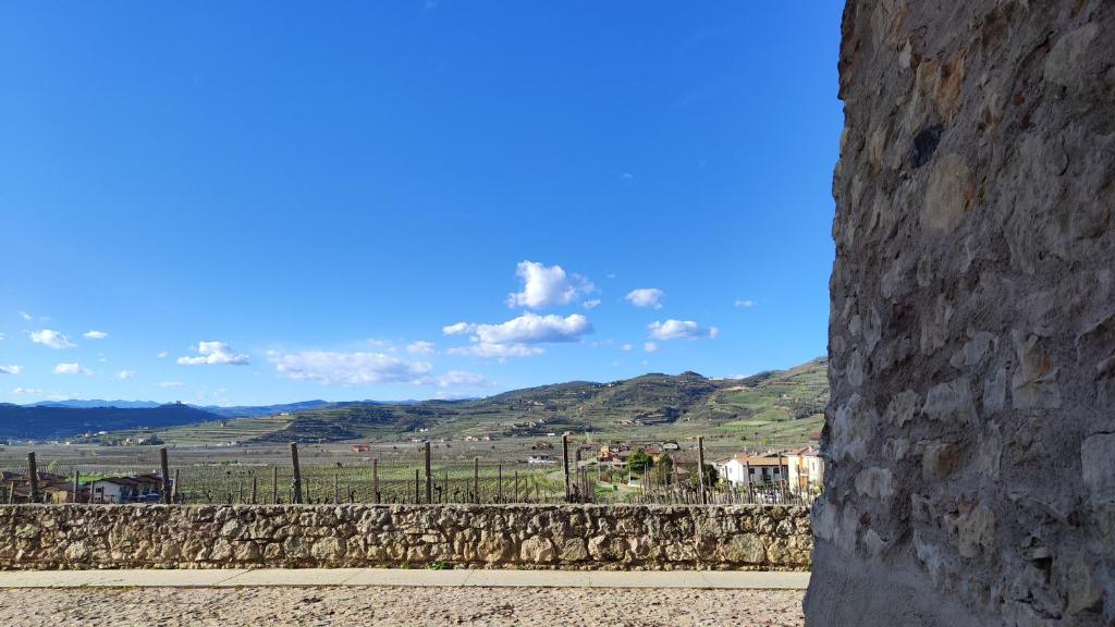 Stanza Allegra Soave - Tap to explore photos