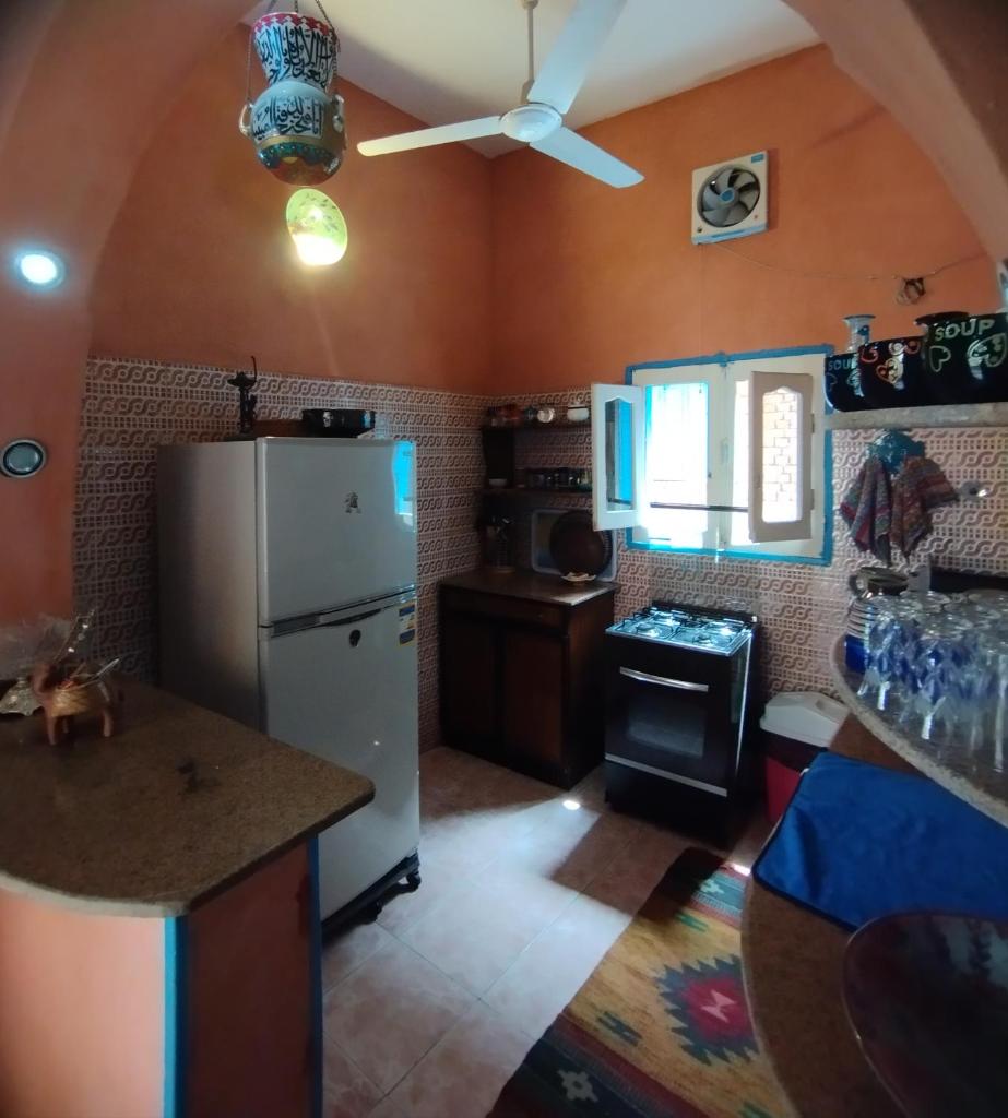 Tunis eco-lodge studio photo 2