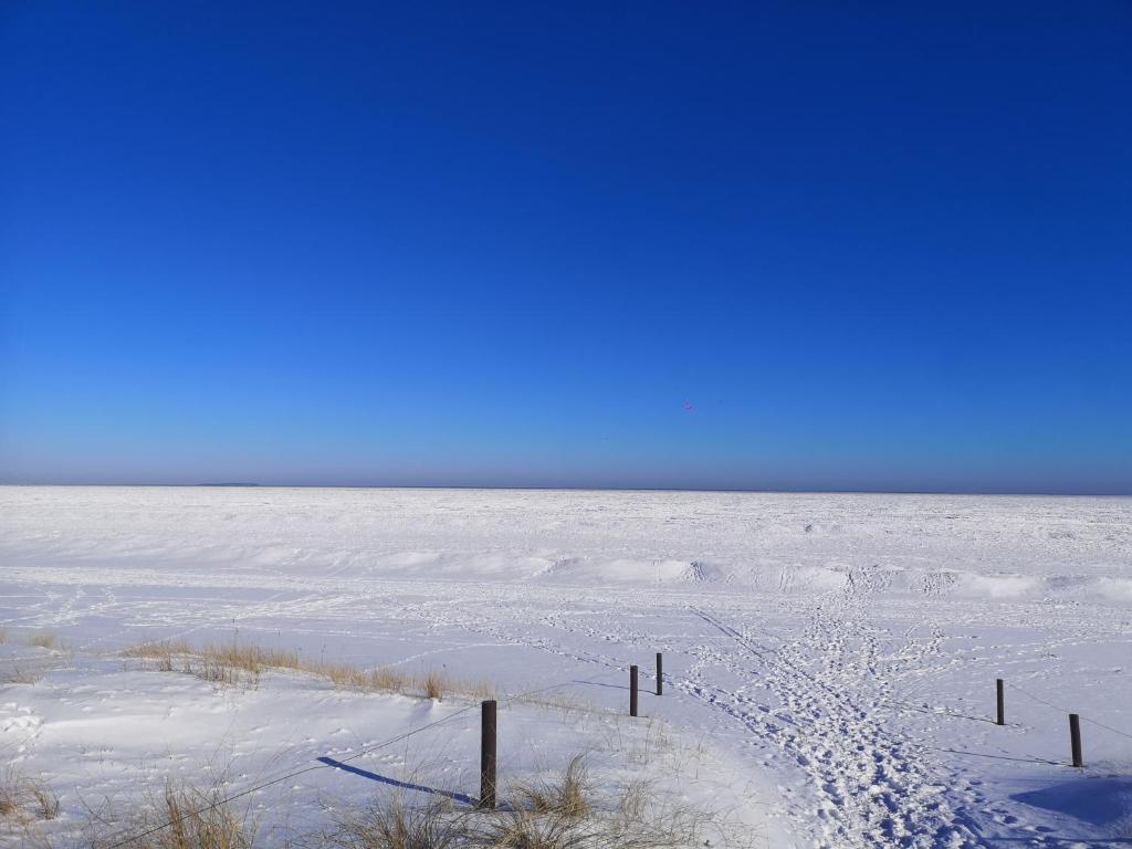 FEWO RENKEN photo 1