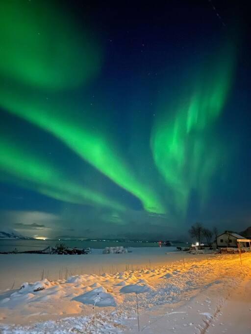 Cozy house - Strønstad @the start of Lofoten photo 1