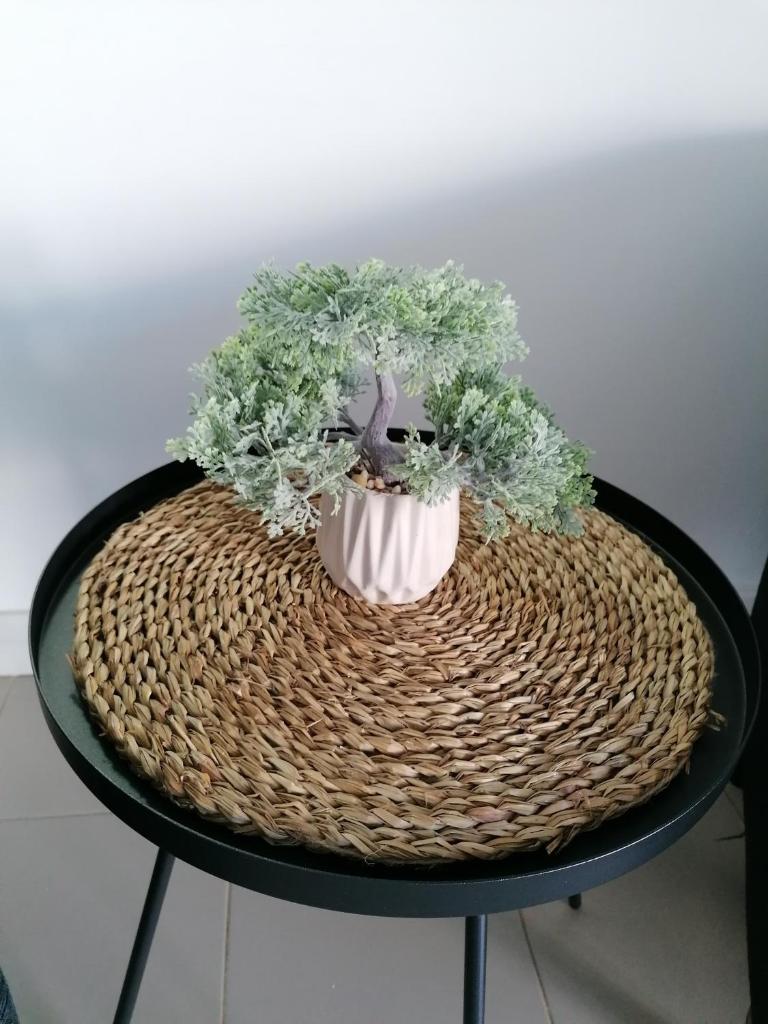 Apartamento Viento Del Sur photo 4